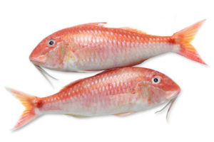 goat-fish